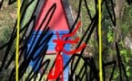 Nice, galerie Depardieu : Hanne Elf, 'Red Girls'. 11 septembre (vernissage) au 17 octobre. 