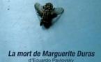 Avignon Off, théâtre des Halles : La mort de Marguerite Duras, de Eduardo Pavlovsky par Théâtre des Halles – Compagnie A. Timar