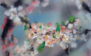 Branche en fleurs n°2, 2022, huile sur toile, 50x61 cm