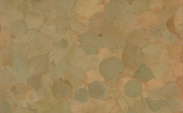 Potagerie Teck, 2012, feuilles de teck, 180 x 135 cm. © Cyrille Cauvet