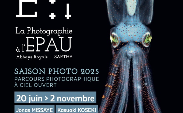 13e édition de la saison photographique de l'Abbaye Royale de l'Epau. 19 juin au 2 novembre 2025
