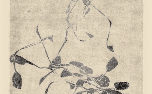 Paris, Galerie Librairie Métamorphoses : Exposition Gisèle Celan-Lestrange, « Sur le grand chemin ». Du 10 février au 28 mars