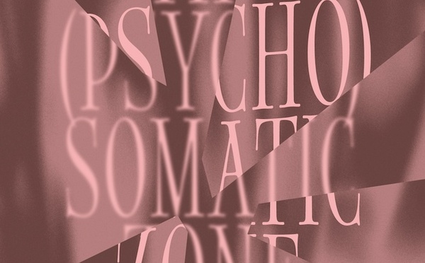 Villeurbanne, Institut d’art contemporain :  The (Psycho)Somatic Zone - Mire Lee - Pipilotti Rist. Du 3 avril au 2 août 2026