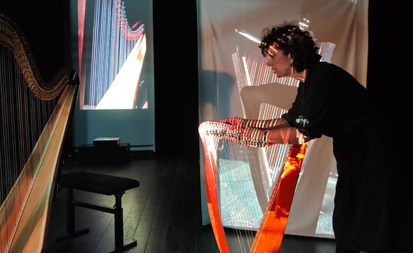 Valence, LUX Scène nationale : « Guêpes, grenouilles et monstres ». Aurélie Saraf, Alexandros Markeas. Jeudi 30 avril 2026 / 20H