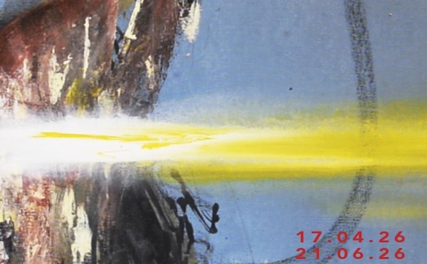 Millau, Vitrine Régionale d'Art Contemporain : Fabien Boitard « Dragon... d'après souvenirs ». Expo du 17/04 au 21/06/26