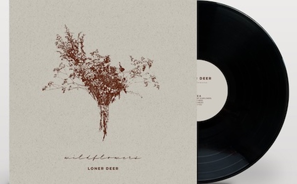 Loner Deer, Wildflowers, pop-folk, sortie le 24 avril 2026. Et dates des concerts