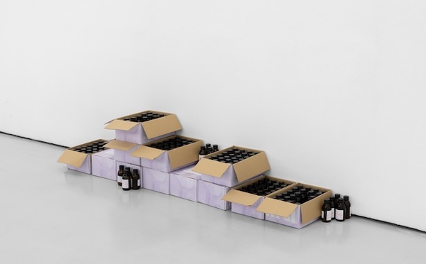 Lisbonne, Cristina Guerra Contemporary Art : « João Pedro Vale + Nuno Alexandre Ferreira ». 26 mai / 4 juillet 2026