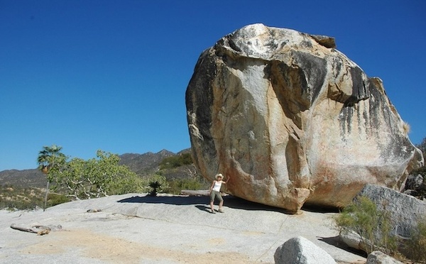 Baja California in the wild : Un monde préservé entre deux mers​ au Mexique