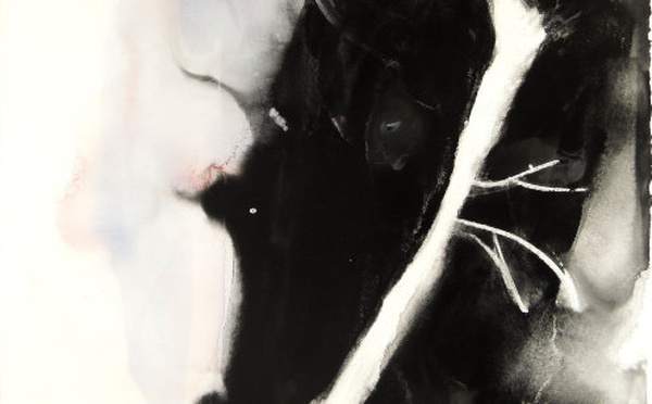 Paris, Galerie Marie-Claude Duchosal : « Patricia Erbelding - Endemic ». Du 3 au 24 octobre 2026