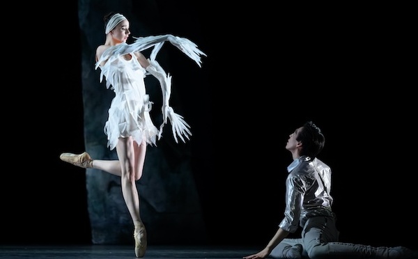 Toulon, Zénith : « Lac », entre ombre et lumière, la danse des passions. 7 et 8 octobre 2026, à 20 h