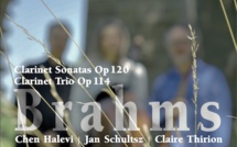 Brahms sur instruments romantiques par le trio Chen Halevi, Jan Schultsz et Claire Thirion. Label Panclassics