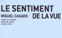 Le sentiment de la vue, Miguel Casado, éditions Zoème. Traduit de l'espagnol par Rafael Garido &amp; David Lespiau