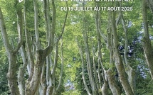  Festival la Roque d’Anthéron – du 19 Juillet au 17 août 2025
