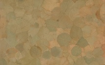 Potagerie Teck, 2012, feuilles de teck, 180 x 135 cm. © Cyrille Cauvet