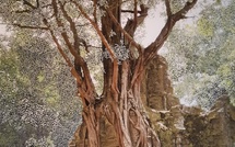 Géologie des âmes