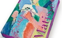 Matisse. « L’art en lumière » par Anne Sefrioui.  Editions Hazan. Nouvelle collection