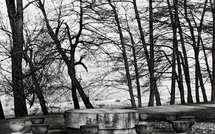 Paris, Hôtel de Béhague : « Brâncuși Monumental Târgu Jiu », Mircea Cantor et Dan Er. Grigorescu. 13 février – 13 juillet 2026