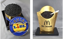 Mortagne-au-Perche (61) : De l'art à l'assiette, exposition du 23/04 au 3/05/26