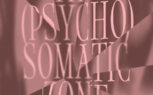 Villeurbanne, Institut d’art contemporain :  The (Psycho)Somatic Zone - Mire Lee - Pipilotti Rist. Du 3 avril au 2 août 2026