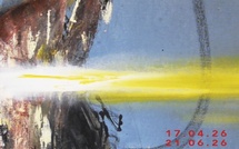 Millau, Vitrine Régionale d'Art Contemporain : Fabien Boitard « Dragon... d'après souvenirs ». Expo du 17/04 au 21/06/26