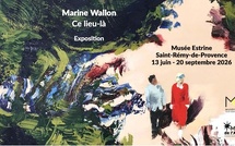Saint-Rémy-de-Provence, musée Estrine : Marine Wallon « Ce lieu-là ». Du 13/06/2026 au 20/09/2026