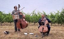 Savennières, Val de Loire : 10e édition du festival Musique dans les Vignes du 20 au 28 juin 2026