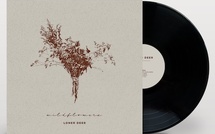 Loner Deer, Wildflowers, pop-folk, sortie le 24 avril 2026. Et dates des concerts