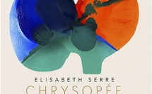 Aix en Provence, galerie NEA : Elisabeth Serre, «  Chrysopée, Transformation, souffle et couleur ». 28 mai au 31 juillet 26