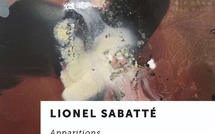 Lyon, galerie Ceysson &amp; Bénétière : Lionel Sabatté « Apparitions » -17 septembre - 24 octobre 2026