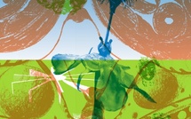 Neuchâtel, CAN Centre d’art : expositions Tender Futures et Tainted Room. 05.09–01.11.26