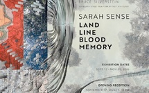 New-York, Bruce Silverstein Gallery : « Sarah Sense: Land, Line, Blood, Memory ». 17 sept - 21 nov 2026