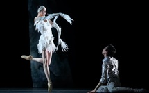 Toulon, Zénith : « Lac », entre ombre et lumière, la danse des passions. 7 et 8 octobre 2026, à 20 h